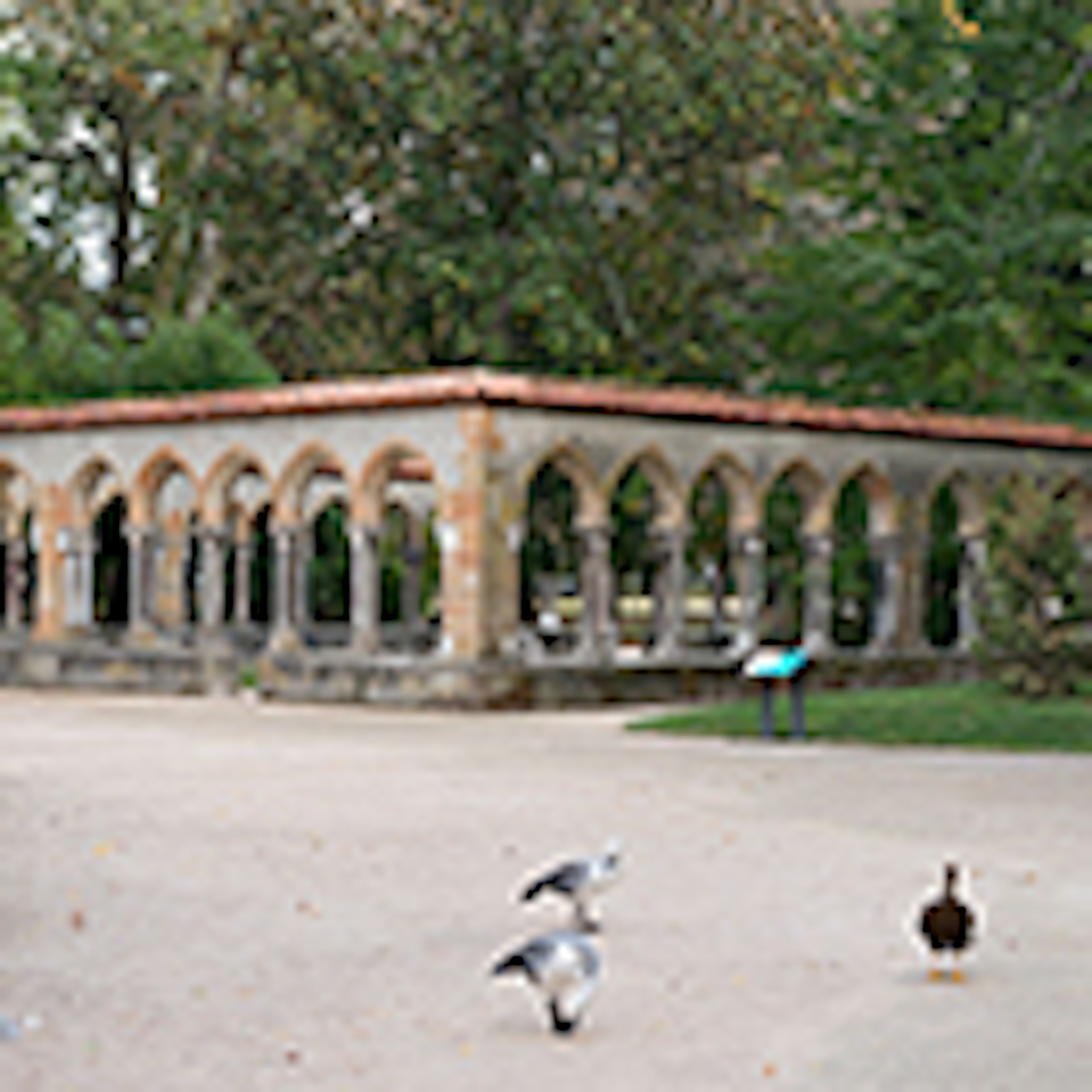 Garages La Barthe-de-Neste